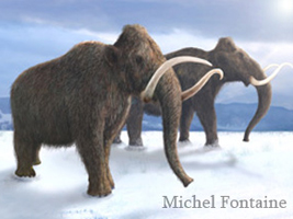 Mammouths primigenius