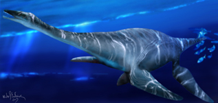 Plesiosaurus