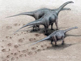 Sauropodes