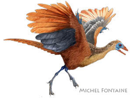 Archeopteryx