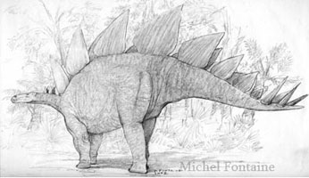 Stegosaurus