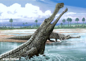 sarcosuchus imperator