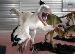 Le Variraptor