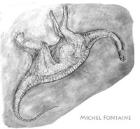 Crayonn� d'un Dinosaure r�alis� sur le terrain - Michel Fontaine