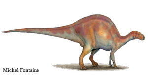 Le Rhabdodon priscus - Michel Fontaine